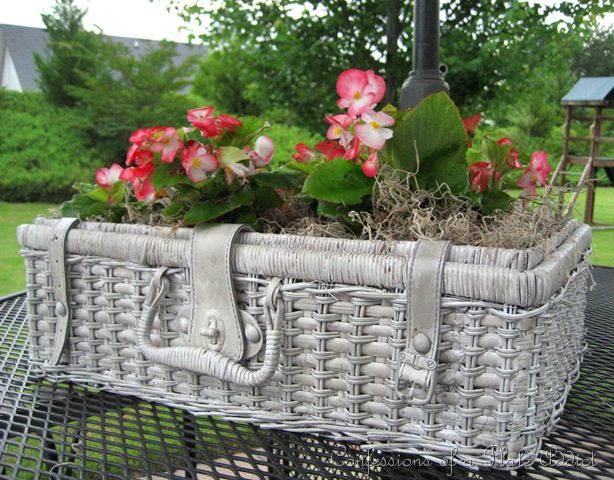 [shabby  basket planter[16].jpg]