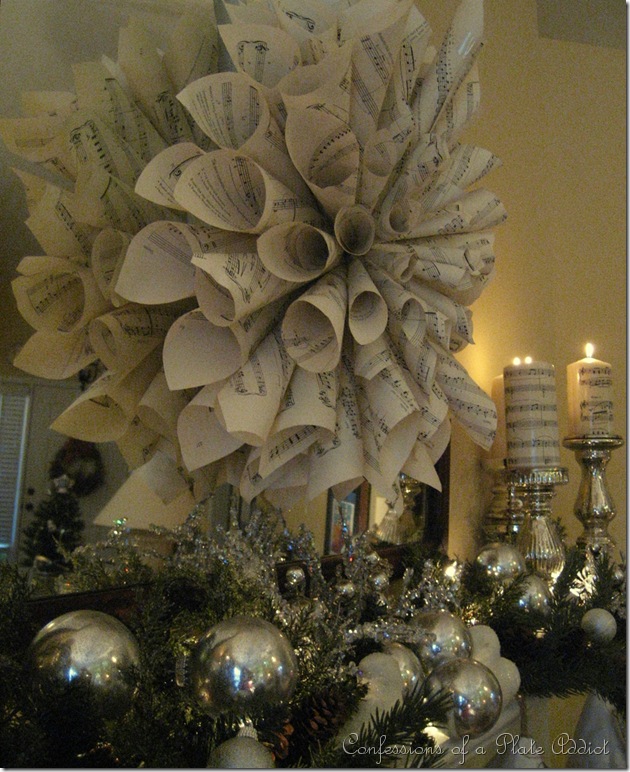 IMG_4419 IMG_4419