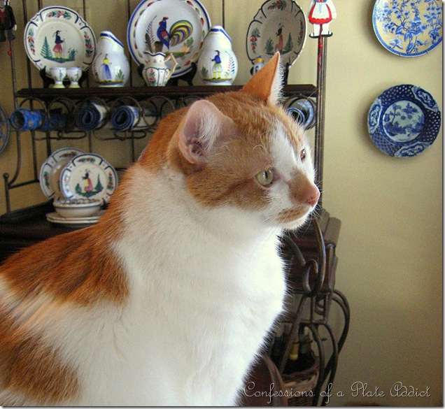 IMG_5250 IMG_5250