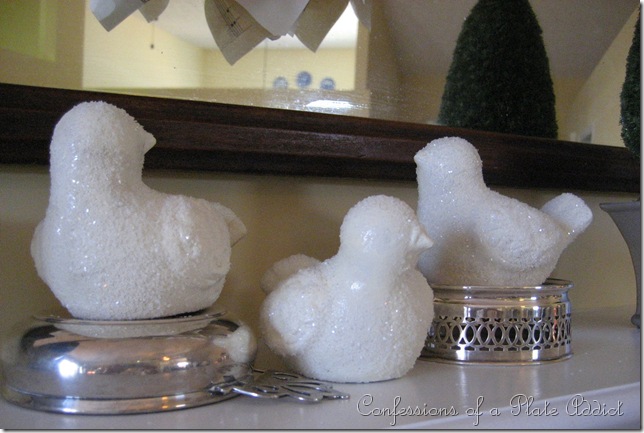 IMG_5052 IMG_5052
