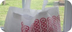 re-purposing plastic bag