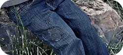 Thumbnail image for Jeans With Personality ~ Denim Guitar Applique