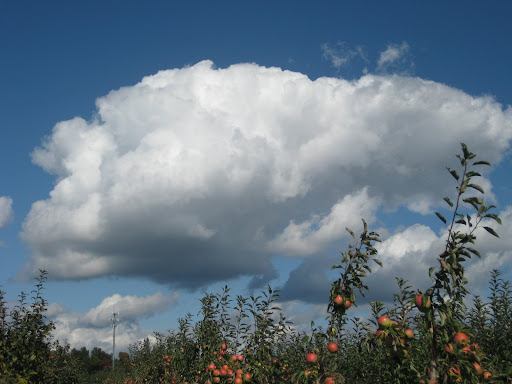 Month of Joy (8/16/11)