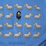 la maglia del capo