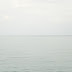 DSC_1354.jpg