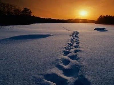 [untitled[4].jpg]
