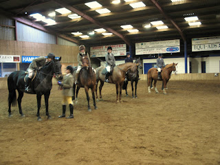 Novice Unrestricted Working Hunter line-up