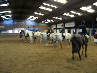 Show Hunter Competitors