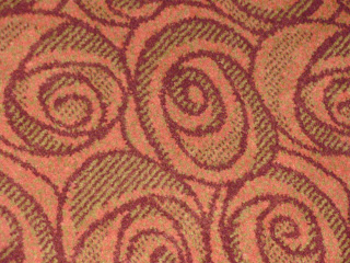 Ok so I took a picture of the carpet why not!
