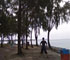 eh botak!