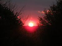 DSCN4150.JPG