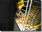IMG_1008