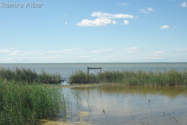 [etang de vaccares[10].jpg]
