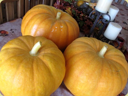 Garden Pumpkins