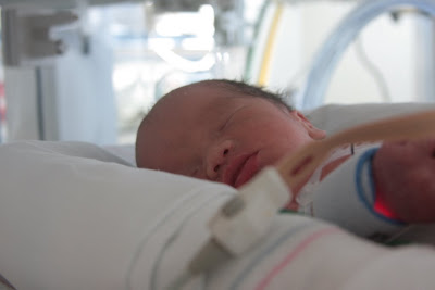 Brooke Hong Lam, 3 lb, 15 oz, 17 in.