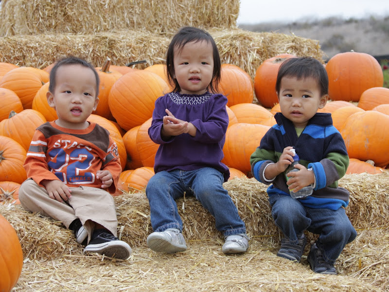Kids at Tanaka Farms