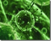 virus