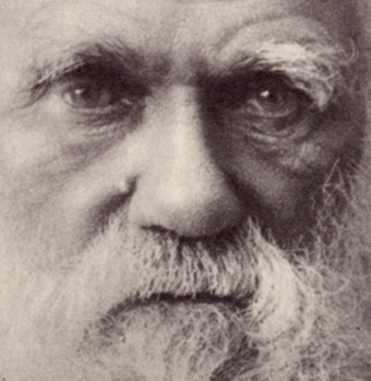 [darwin[5].jpg]