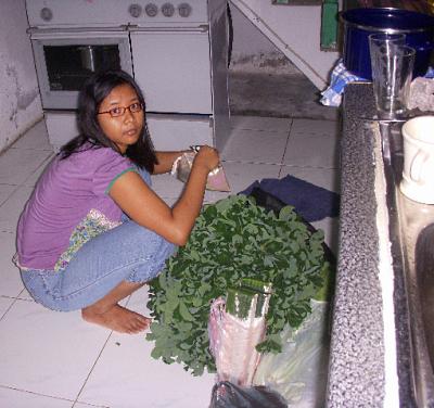 [photo8.jpg]