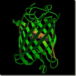render (Raster3D) input file, MolScript v2.1.2, Copyright (C) 1997-1998 Per J. Kraulis render (Raster3D) input file, MolScript v2.1.2, Copyright (C) 1997-1998 Per J. Kraulis