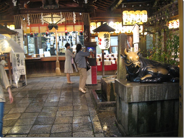 IMG_6749 IMG_6749