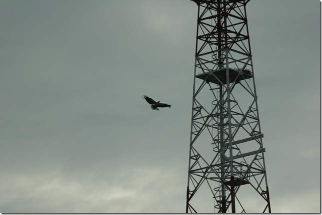 IMG_4108 IMG_4108