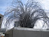 Wellington and Franz Joseph Glacier 005.jpg