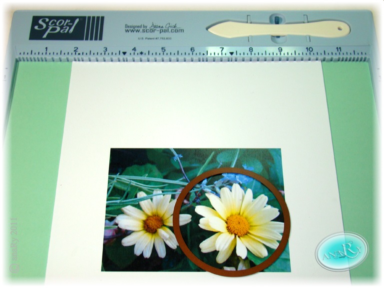 [2 Die cut Flower Photo[4].jpg]