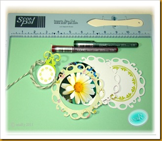 7 Write sentiment and text
