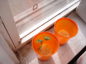 picasion.com_d42c4dcb31889d8a88f5097483f9ba6d.gif