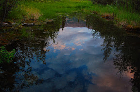 Reflection in Clear Creek