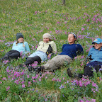 Jessa, Kirin, Sophie, and Lauren among the wildflowers