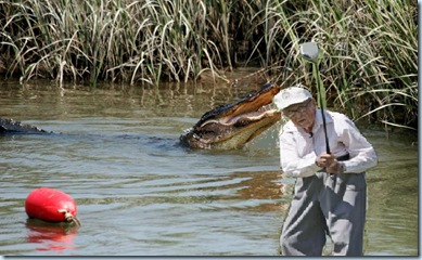 gator2
