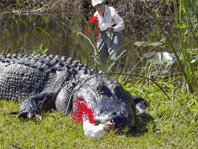 [gatorimg15[3].jpg]