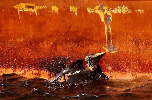 [oil_spill_fire_c_01[2].jpg]