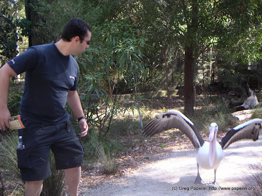 Healesville Sanctuary Zoo