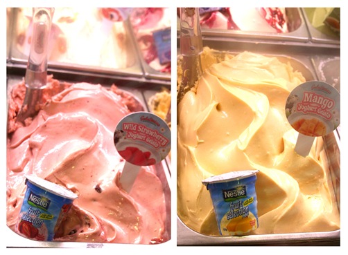 Yummissimo Yogurt Gelato Yummissimo Yogurt Gelato