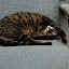 DSC_0078.JPG