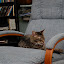 DSC_0091.JPG