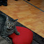 DSC_0095.JPG