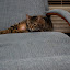DSC_0101.JPG
