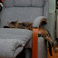 DSC_0124.JPG