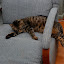 DSC_0126.JPG