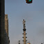 DSC_0630.JPG