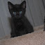 DSC_0892.JPG