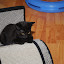 DSC_0933.JPG