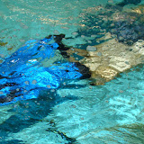 DSC09567.JPG