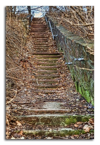[webpark_stairs_mw[5].jpg]