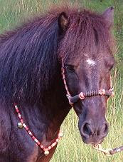 diablo beads Rhythm Beads for horses