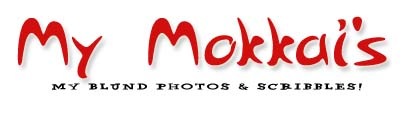 [My Mokkai[4].jpg]
